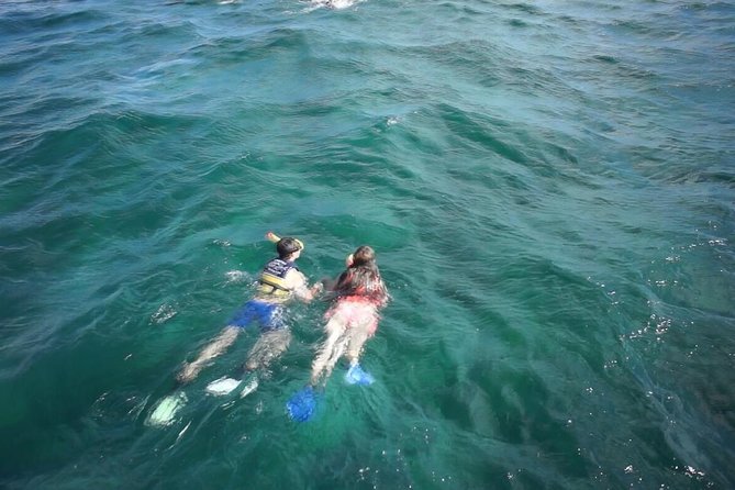 Private Catamaran Experience from Cancun to Isla Mujeres! - Setting Sail from Playa Tortugas