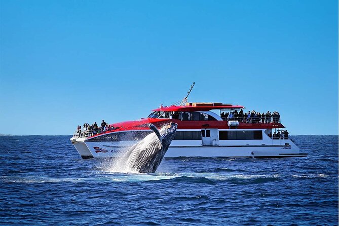 Private Catamaran Hire on Sydney Harbour - A three-hour cruise with time to slow down