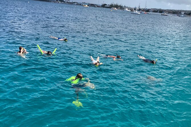 Private catamaran sail & snorkel - Why a private boat changes the Barbados snorkeling day