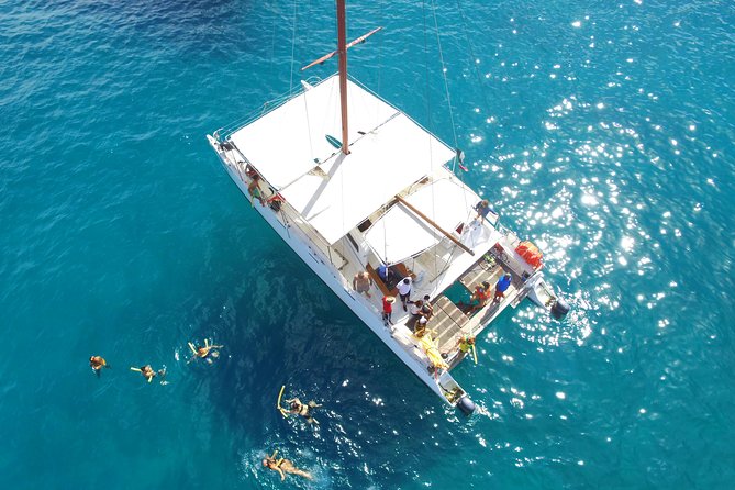 Private Catamaran Snorkeling Cruise in Los Cabos - Meeting Cabo’s sea lion colony