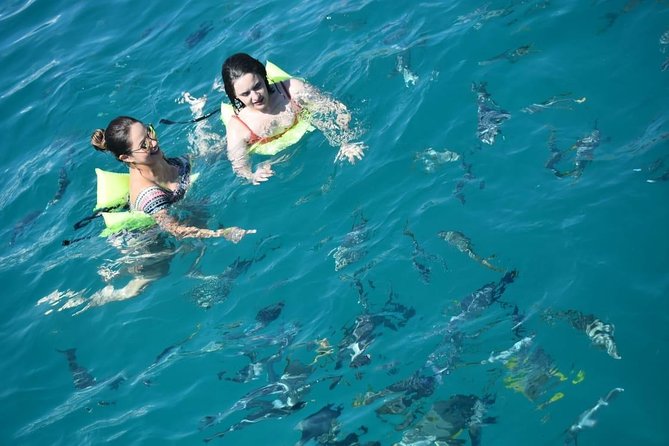 Private Catamaran Snorkeling Cruise in Los Cabos - The real value of $950