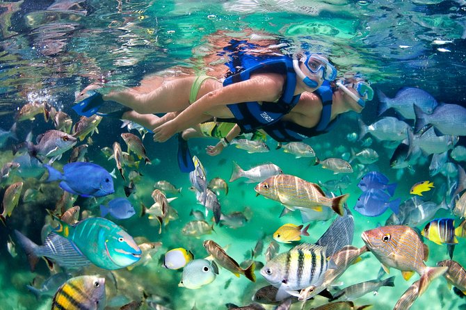 Private Catamaran Snorkeling Family Adventure - Is $900 good value for your group?