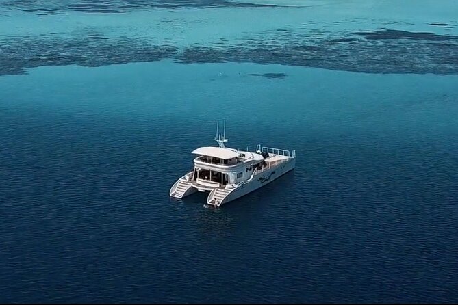 Private Catamaran - Stone Town Islands & Sandbanks (5 hrs) - The sunset sail back to Stone Town