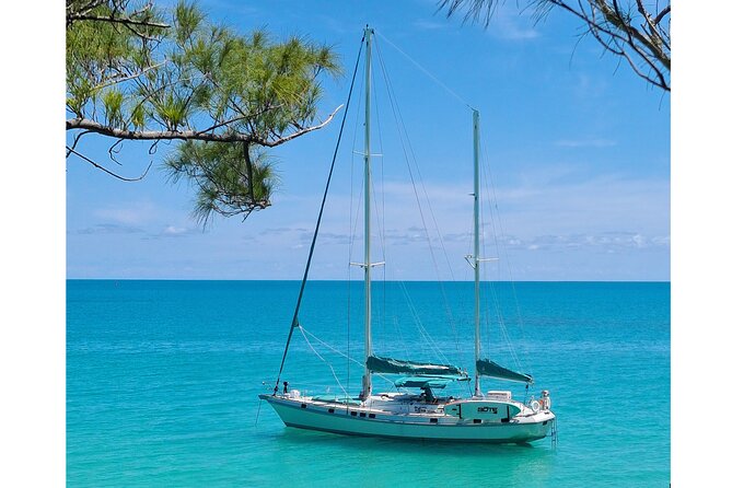 Private Catamaran Swim sail snorkel cliff jumping SUP - How much value do you get for $1,175?