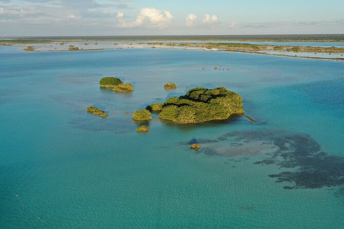 Private Catamaran Tour - Is $990 a Fair Price?