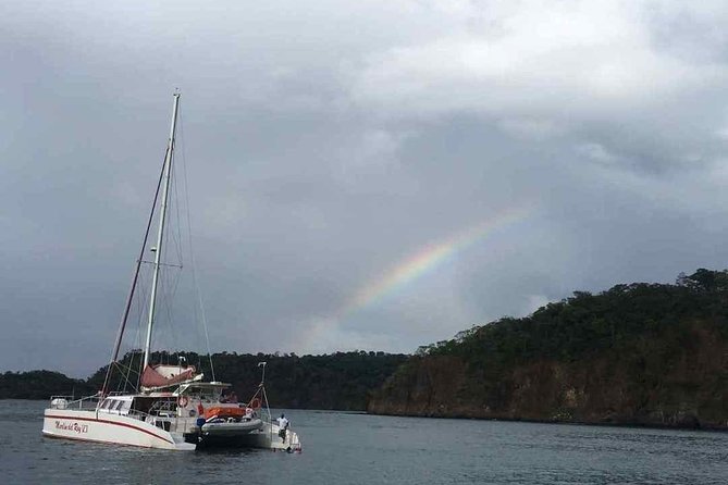 Private Catamaran Tour on Marlin del Rey - The first hour: open water and possible wildlife
