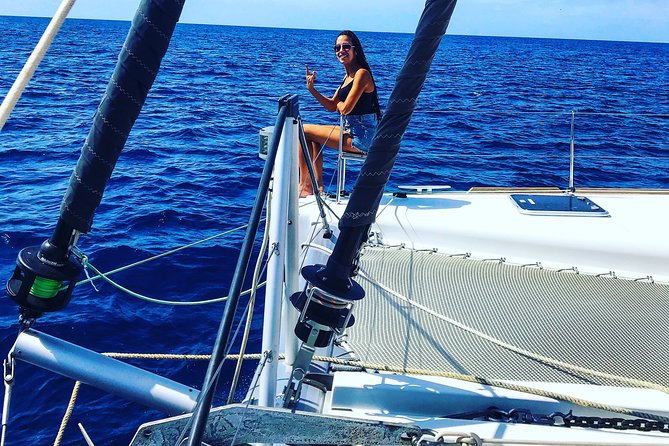 Private Charter On Our Luxury Catamaran - Looking for whales and dolphins