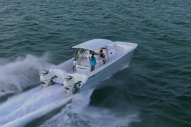 Private Fast Power Catamaran. Full or Half Day for Beach Hopping, Snorkel & Swim - Scott Bay and Maho Bay are strong wildlife possibilities