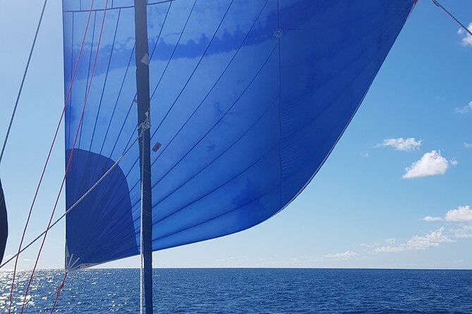 Private Full-Day Catamaran Sailing Charter in St Maarten - Tintamarre Island, turtles, and a beach lunch