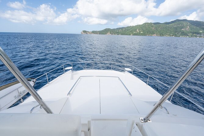 Private Full Day Luxury Catamaran Excursion - Wildlife sightings are a welcome bonus