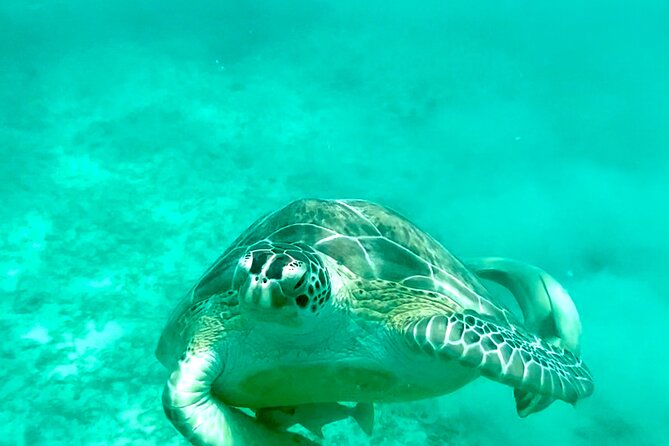 Private Luxury Catamaran Half Day Charter - Riding the Southern Coast of St. Thomas