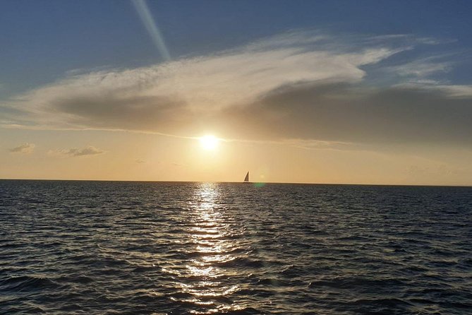 Private Luxury Catamaran - Saona or Catalina island - The crew makes the private format work