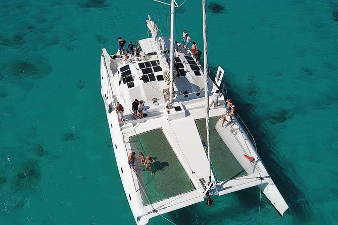 Private Luxury Catamaran - Saona or Catalina island - Weather, cancellation, and practical timing