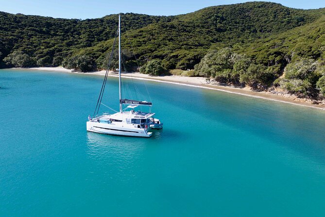 Private Luxury Sailing Catamaran Charter in the Bay of Islands - The crew: Magnus, Adam, and the hands-on touch