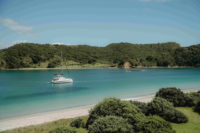 Private Luxury Sailing Catamaran Charter in the Bay of Islands - Booking, weather, and practical planning