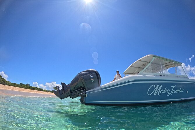 Private Power Catamaran Adventure in Saint Kitts and Nevis - Snorkeling around St. Kitts