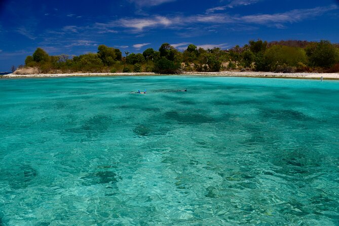 Private Power Catamaran. Secluded Beaches, Snorkeling, Turtles for Full/Half Day - Swimming With Turtles in Warm, Clear Water