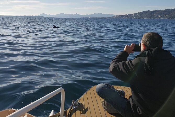 Private Solar Catamaran Cruise in Antibes Juan les Pins - Hotel Belles Rives from the water