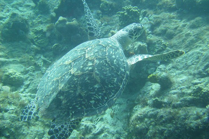 Private St. Maarten Cruise - Hakuna Matata Catamaran - Sailing toward Pinel Island and nearby waters