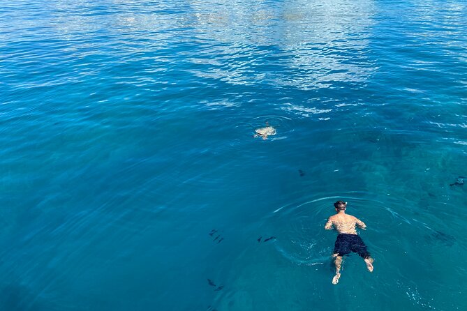 Private Sunset Catamaran Cruise in Waikiki - What is included, and what should you bring?