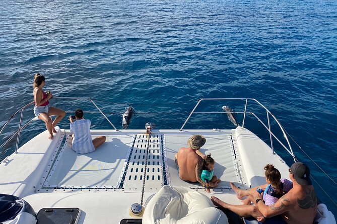 Private Sunset Catamaran Cruise in Waikiki - Who will enjoy this boat most?