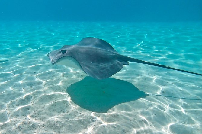 PRIVATE Sunset Tour: Moorea Snorkeling on a Catamaran named Taboo - A simple onboard spread, with drinks included
