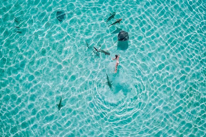 PRIVATE Sunset Tour: Moorea Snorkeling on a Catamaran named Taboo - The sunset portion earns its place