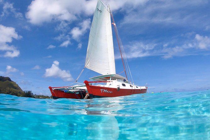PRIVATE Sunset Tour: Moorea Snorkeling on a Catamaran named Taboo - Who should book Taboo?