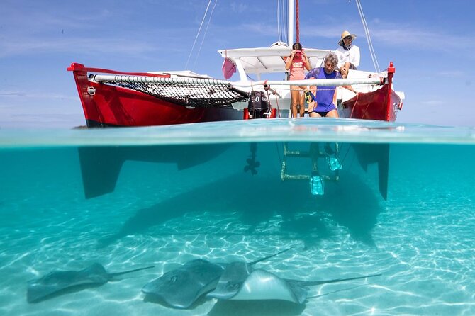 PRIVATE Sunset Tour: Moorea Snorkeling on a Catamaran named Taboo - Three water stops with sharks, rays, and an underwater tiki