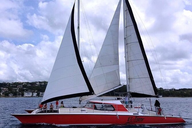 Private Tour: Barbados Catamaran Snorkeling Cruise - Lunch, beach time, and a slower afternoon