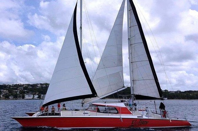 Private Tour: Barbados Catamaran Snorkeling Cruise - What the $3,210 price really means