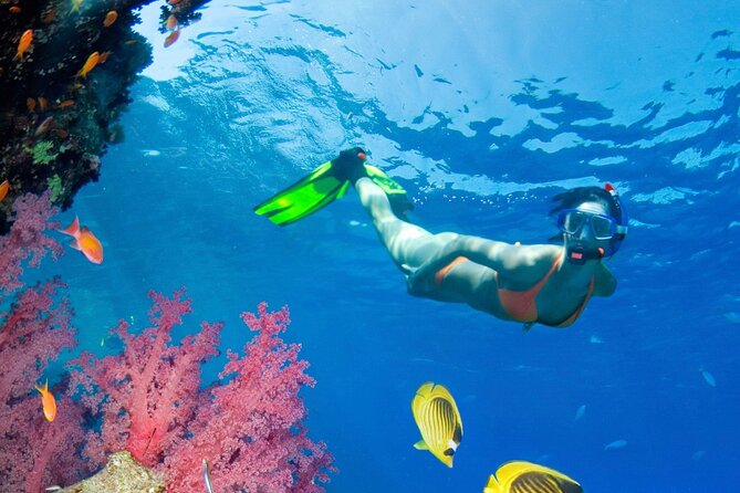 Puerto Morelos Catamaran Reef Sail and Snorkel - A half-day on the Puerto Morelos reef