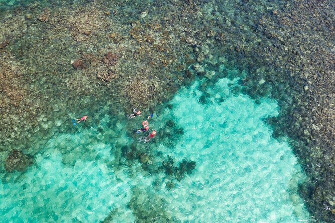 Puerto Morelos Catamaran Reef Sail and Snorkel - Snorkeling in Puerto Morelos National Marine Park