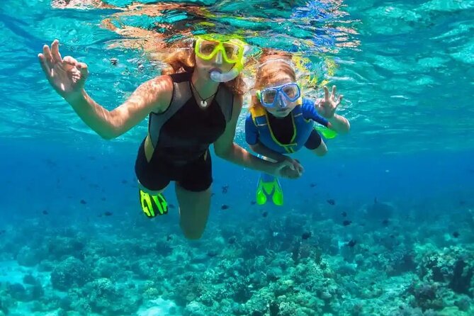 Puerto Plata Catamaran Cruise with Snorkeling, BBQ & Open Bar - Who should book this catamaran cruise
