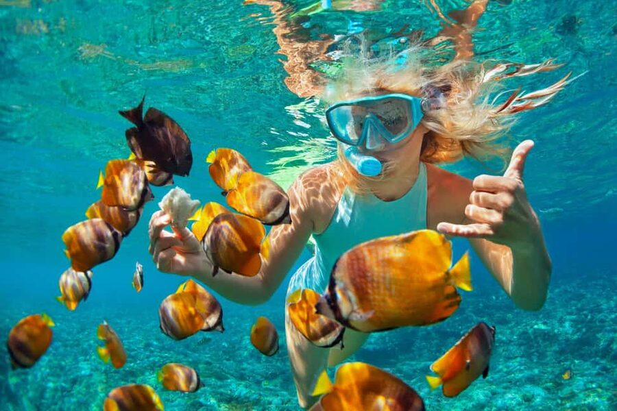 Puerto Plata: Sosúa Catamaran Day Trip with Lunch and Drinks - Setting sail from Sosúa Beach
