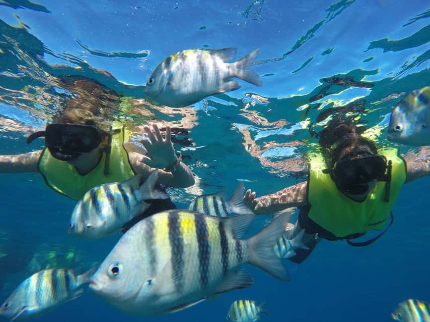 Puerto Plata: Sosúa Catamaran Day Trip with Lunch and Drinks - Lunch, fruit, and Dominican flavors