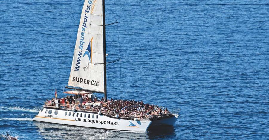 Puerto Rico : 2 hour Dolphin Catamaran Excursion - Key Points Before You Book