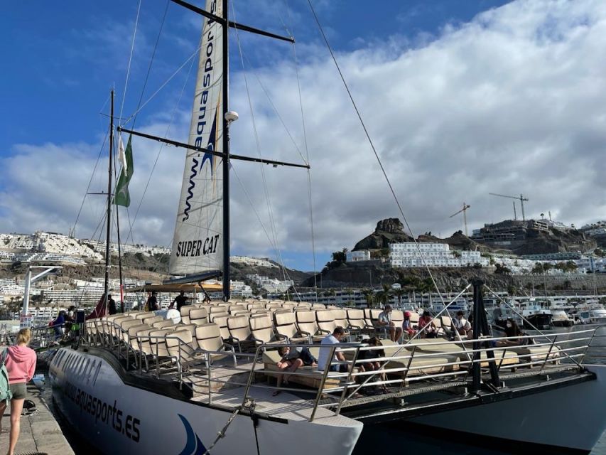 Puerto Rico : 2 hour Dolphin Catamaran Excursion - Practical Tips for a Better Trip