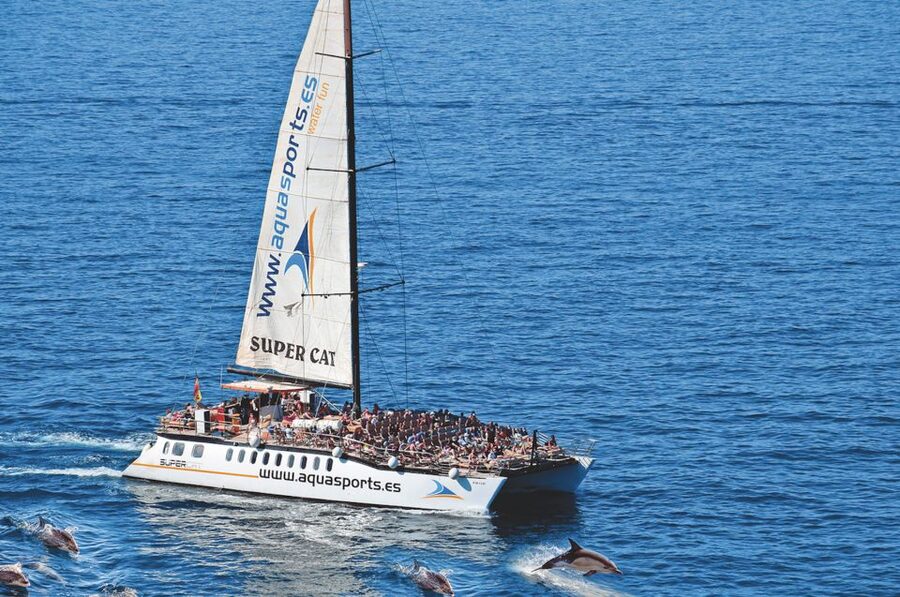 Puerto Rico : 2 hour Dolphin Catamaran Excursion - The First Minutes on the Atlantic