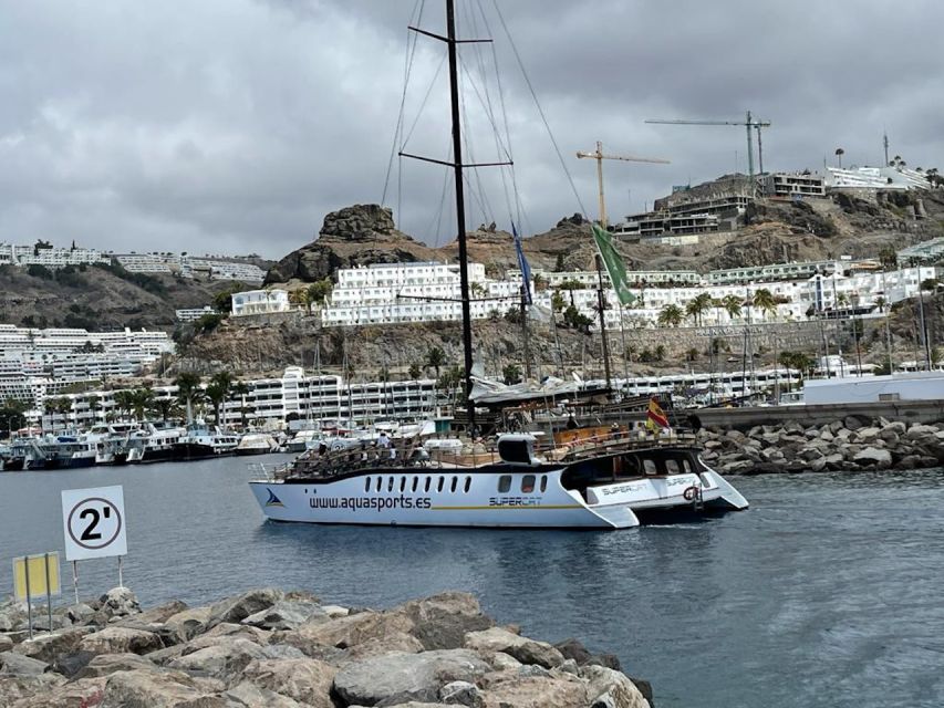 Puerto Rico : 2 hour Dolphin Catamaran Excursion - Looking for Dolphins, Whales, and Turtles