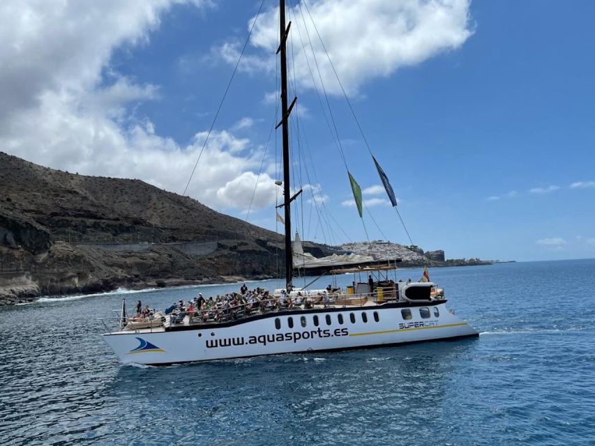 Puerto Rico : 2 hour Dolphin Catamaran Excursion - Comfort, Sun, and the Onboard Bar