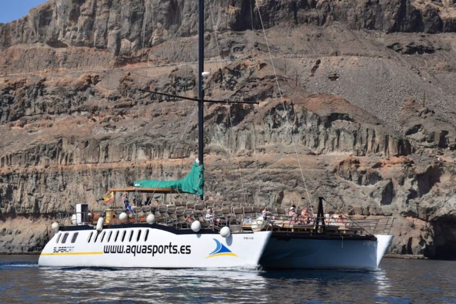 Puerto Rico : 2 hour Dolphin Catamaran Excursion - What the Feedback Tells You About the Crew