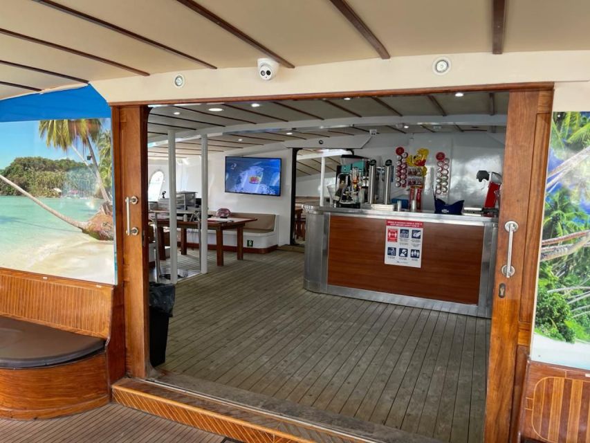 Puerto Rico : 2 hour Dolphin Catamaran Excursion - Who Will Enjoy This Two-Hour Outing
