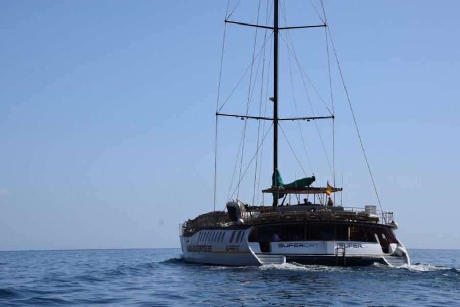 Puerto Rico : 2 hour Dolphin Catamaran Excursion - Starting at Puerto Base or Using Hotel Pickup