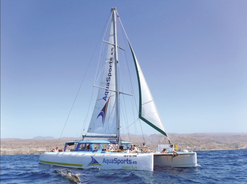 Puerto Rico: 4-Hour Catamaran Excursion in the South - From your hotel area to Puerto Rico Base