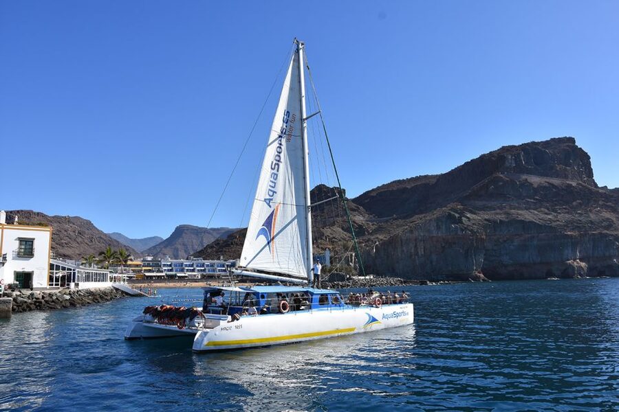 Puerto Rico: 4-Hour Catamaran Excursion in the South - The banana boat ride and optional water activities