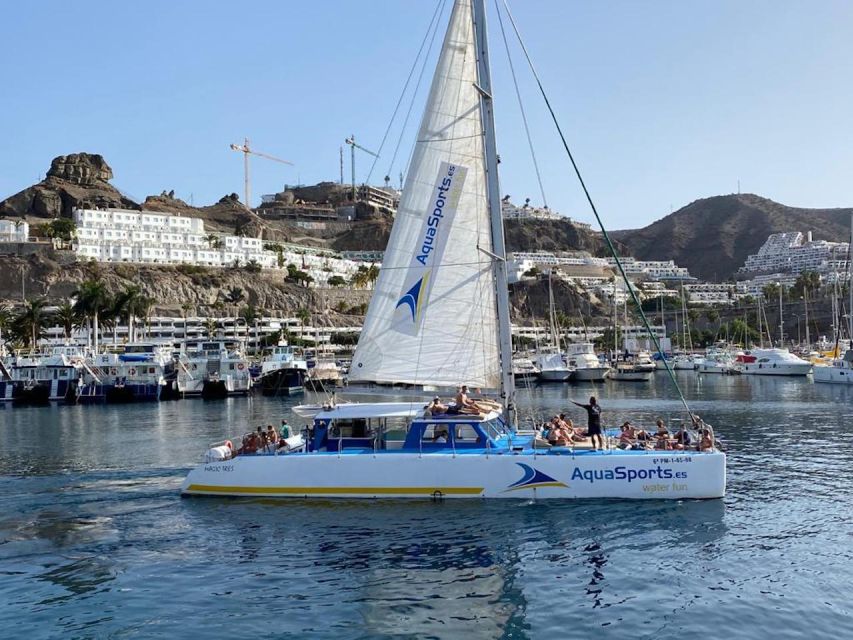 Puerto Rico: 4-Hour Catamaran Excursion in the South - Booking advice and final verdict