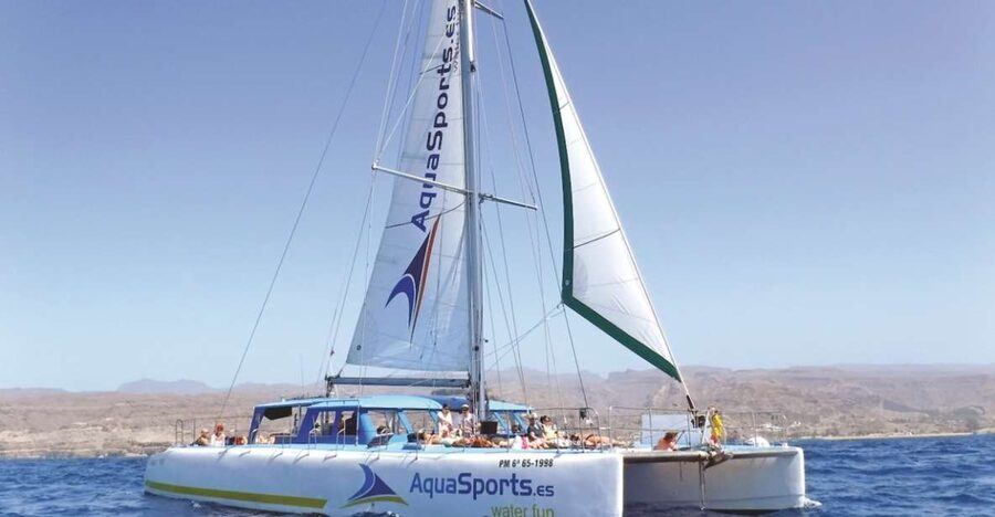 Puerto Rico: 4-Hour Catamaran Excursion in the South - Setting out along Gran Canaria’s south coast