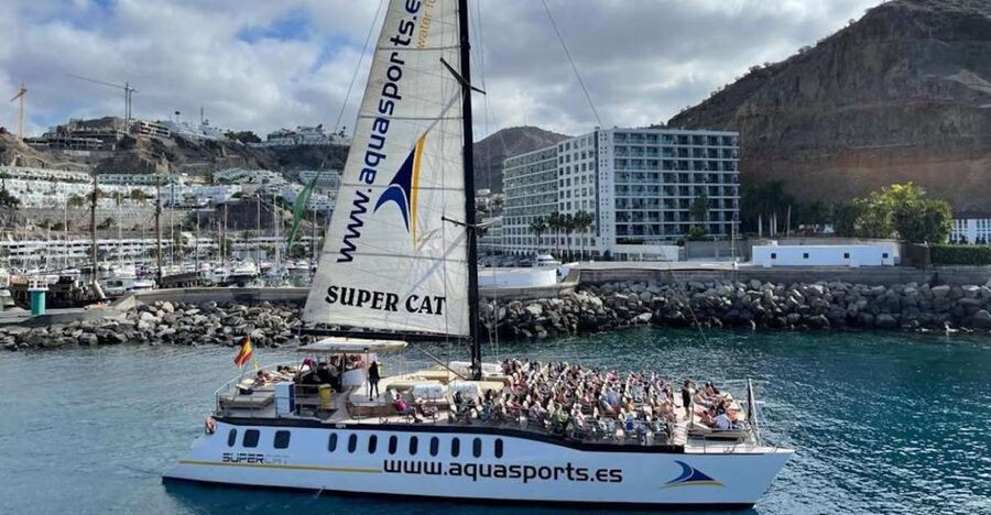 Puerto Rico de Gran Canaria: Premium Dolphin Catamaran Tour - Key points to know before booking