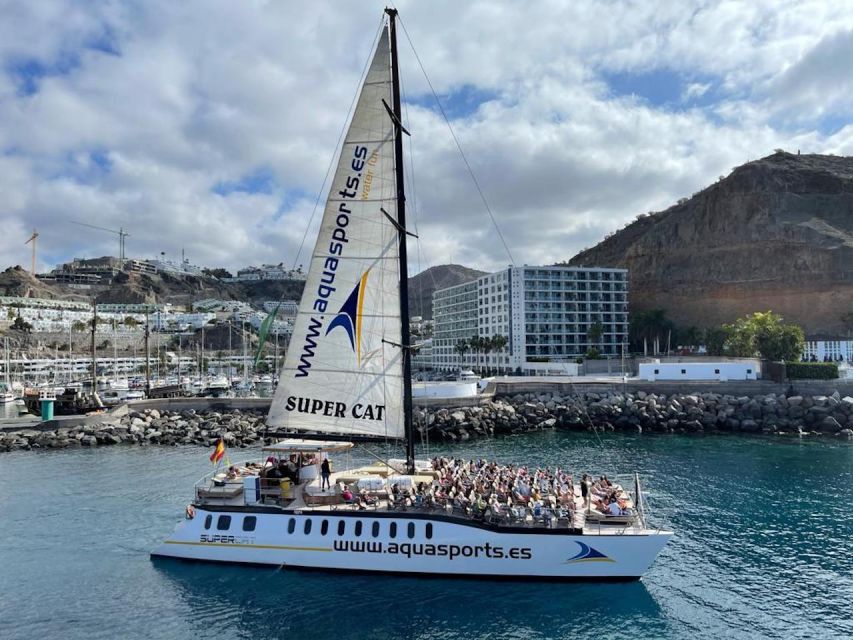 Puerto Rico de Gran Canaria: Premium Dolphin Catamaran Tour - Is $75 good value?